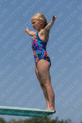 2017 - 8. Sofia Diving Cup 2017 - 8. Sofia Diving Cup 03012_11287.jpg