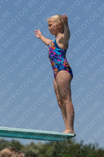 2017 - 8. Sofia Diving Cup 2017 - 8. Sofia Diving Cup 03012_11318.jpg