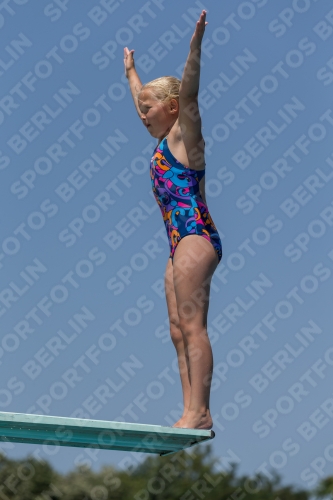 2017 - 8. Sofia Diving Cup 2017 - 8. Sofia Diving Cup 03012_11319.jpg
