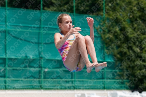 2017 - 8. Sofia Diving Cup 2017 - 8. Sofia Diving Cup 03012_11341.jpg