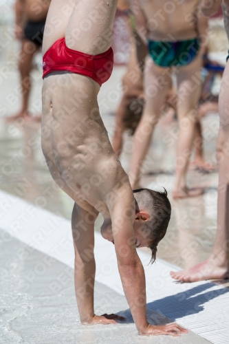 2017 - 8. Sofia Diving Cup 2017 - 8. Sofia Diving Cup 03012_11402.jpg