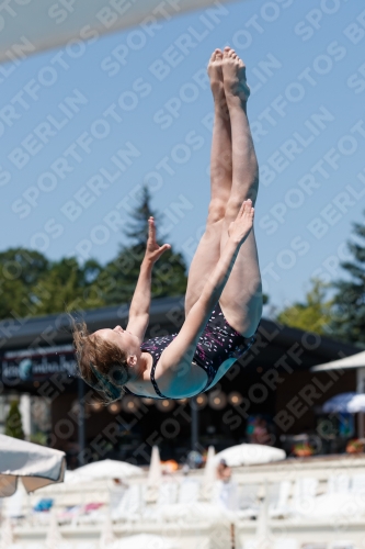 2017 - 8. Sofia Diving Cup 2017 - 8. Sofia Diving Cup 03012_11445.jpg