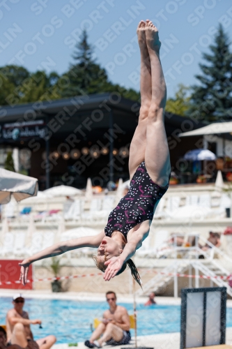 2017 - 8. Sofia Diving Cup 2017 - 8. Sofia Diving Cup 03012_11447.jpg