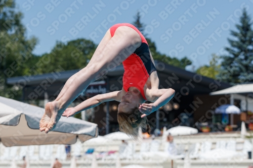 2017 - 8. Sofia Diving Cup 2017 - 8. Sofia Diving Cup 03012_11453.jpg