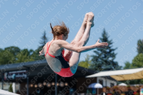 2017 - 8. Sofia Diving Cup 2017 - 8. Sofia Diving Cup 03012_11456.jpg