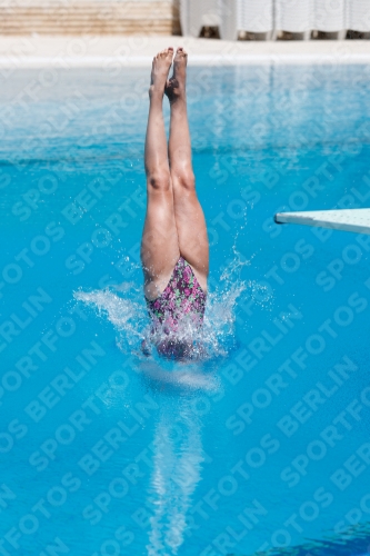 2017 - 8. Sofia Diving Cup 2017 - 8. Sofia Diving Cup 03012_11511.jpg
