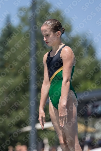 2017 - 8. Sofia Diving Cup 2017 - 8. Sofia Diving Cup 03012_11512.jpg