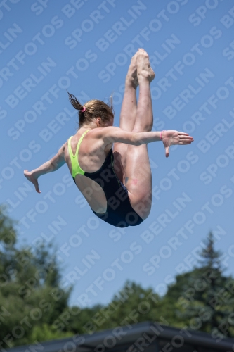 2017 - 8. Sofia Diving Cup 2017 - 8. Sofia Diving Cup 03012_11530.jpg