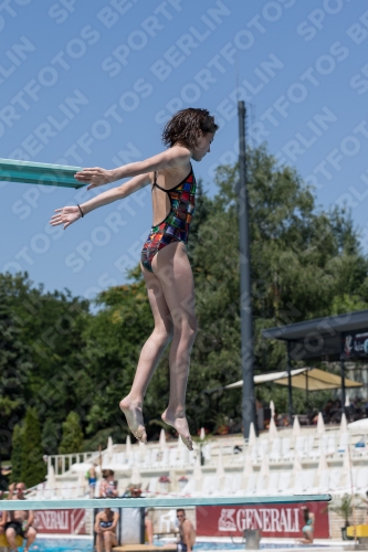 2017 - 8. Sofia Diving Cup 2017 - 8. Sofia Diving Cup 03012_11554.jpg
