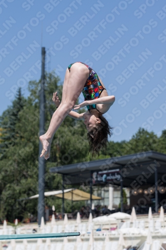 2017 - 8. Sofia Diving Cup 2017 - 8. Sofia Diving Cup 03012_11557.jpg