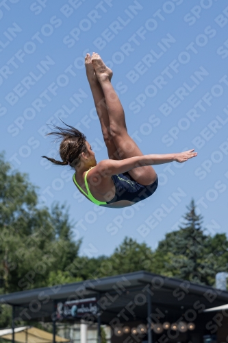 2017 - 8. Sofia Diving Cup 2017 - 8. Sofia Diving Cup 03012_11574.jpg