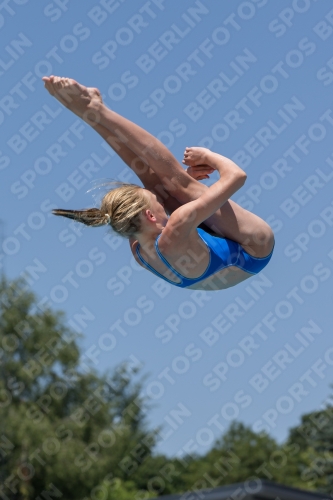 2017 - 8. Sofia Diving Cup 2017 - 8. Sofia Diving Cup 03012_11583.jpg