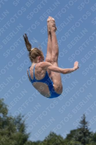 2017 - 8. Sofia Diving Cup 2017 - 8. Sofia Diving Cup 03012_11584.jpg