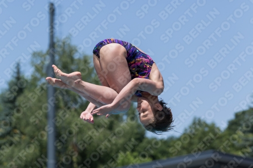 2017 - 8. Sofia Diving Cup 2017 - 8. Sofia Diving Cup 03012_11601.jpg