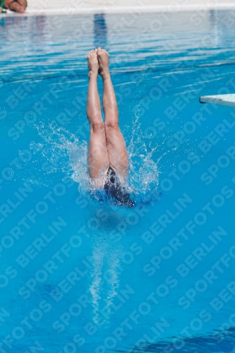 2017 - 8. Sofia Diving Cup 2017 - 8. Sofia Diving Cup 03012_11625.jpg