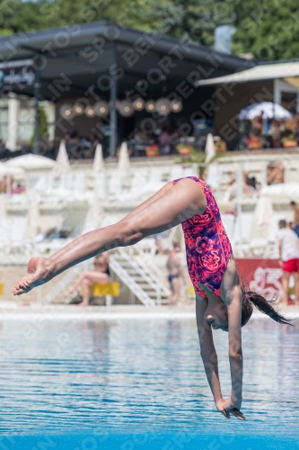 2017 - 8. Sofia Diving Cup 2017 - 8. Sofia Diving Cup 03012_11630.jpg