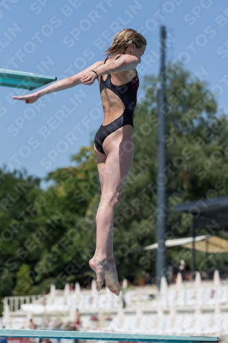 2017 - 8. Sofia Diving Cup 2017 - 8. Sofia Diving Cup 03012_11632.jpg