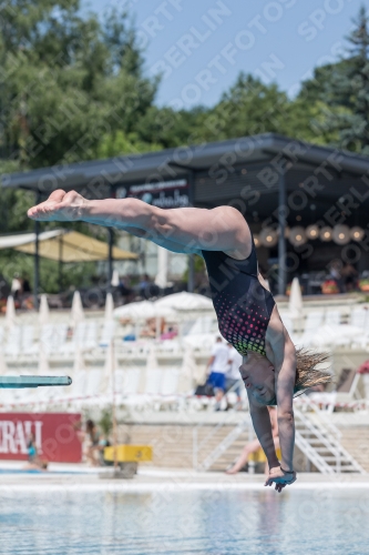 2017 - 8. Sofia Diving Cup 2017 - 8. Sofia Diving Cup 03012_11635.jpg