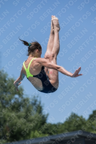 2017 - 8. Sofia Diving Cup 2017 - 8. Sofia Diving Cup 03012_11661.jpg