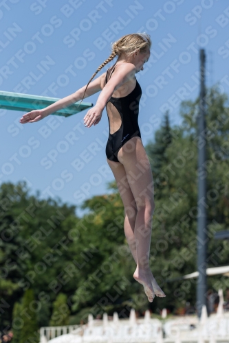 2017 - 8. Sofia Diving Cup 2017 - 8. Sofia Diving Cup 03012_11712.jpg