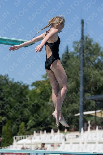 2017 - 8. Sofia Diving Cup 2017 - 8. Sofia Diving Cup 03012_11713.jpg