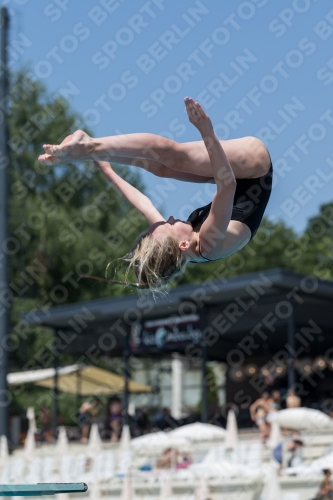 2017 - 8. Sofia Diving Cup 2017 - 8. Sofia Diving Cup 03012_11715.jpg