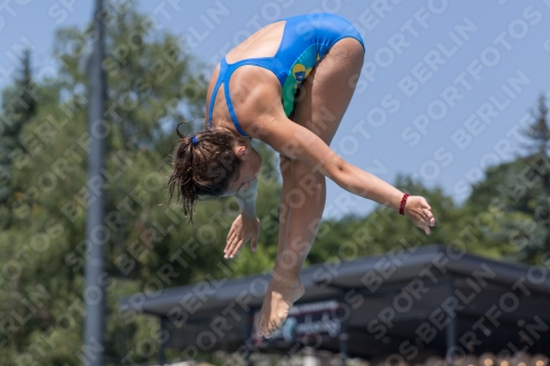 2017 - 8. Sofia Diving Cup 2017 - 8. Sofia Diving Cup 03012_11720.jpg