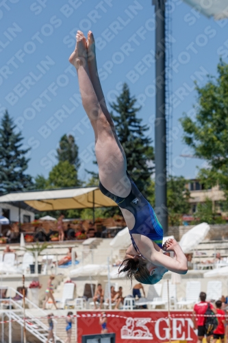 2017 - 8. Sofia Diving Cup 2017 - 8. Sofia Diving Cup 03012_11785.jpg