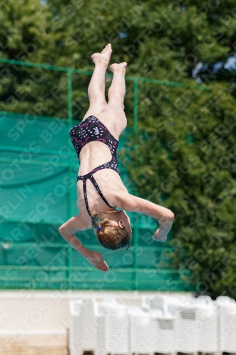 2017 - 8. Sofia Diving Cup 2017 - 8. Sofia Diving Cup 03012_11845.jpg