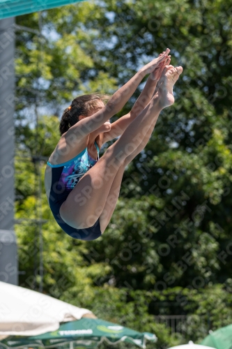 2017 - 8. Sofia Diving Cup 2017 - 8. Sofia Diving Cup 03012_11888.jpg