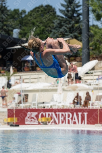 2017 - 8. Sofia Diving Cup 2017 - 8. Sofia Diving Cup 03012_11902.jpg