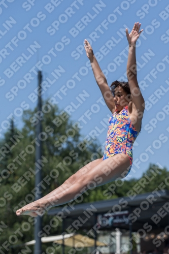 2017 - 8. Sofia Diving Cup 2017 - 8. Sofia Diving Cup 03012_11907.jpg