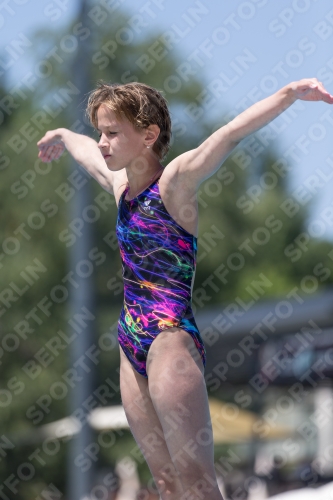 2017 - 8. Sofia Diving Cup 2017 - 8. Sofia Diving Cup 03012_11911.jpg