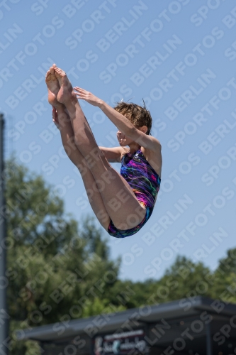 2017 - 8. Sofia Diving Cup 2017 - 8. Sofia Diving Cup 03012_11914.jpg