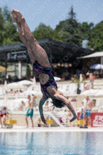 2017 - 8. Sofia Diving Cup 2017 - 8. Sofia Diving Cup 03012_11915.jpg