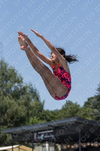 2017 - 8. Sofia Diving Cup 2017 - 8. Sofia Diving Cup 03012_11932.jpg