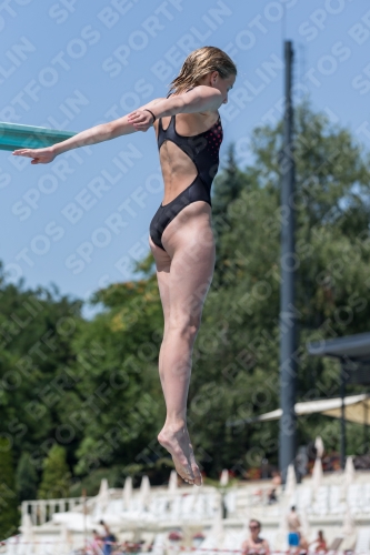 2017 - 8. Sofia Diving Cup 2017 - 8. Sofia Diving Cup 03012_11935.jpg