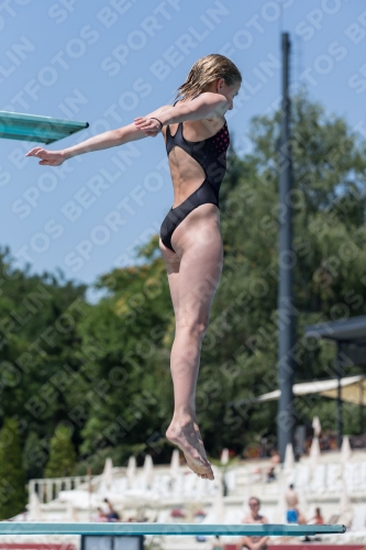 2017 - 8. Sofia Diving Cup 2017 - 8. Sofia Diving Cup 03012_11936.jpg
