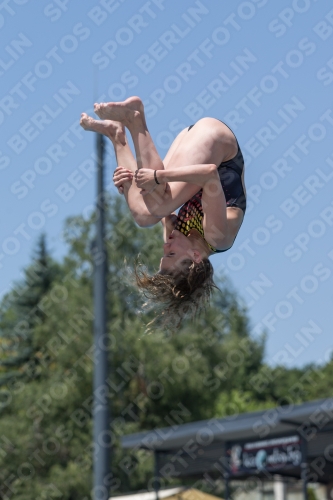 2017 - 8. Sofia Diving Cup 2017 - 8. Sofia Diving Cup 03012_11937.jpg