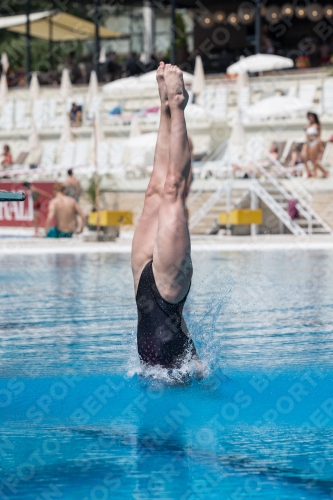 2017 - 8. Sofia Diving Cup 2017 - 8. Sofia Diving Cup 03012_11940.jpg