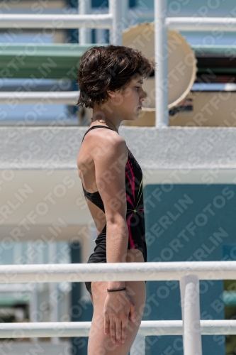 2017 - 8. Sofia Diving Cup 2017 - 8. Sofia Diving Cup 03012_11941.jpg