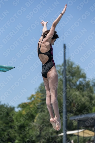 2017 - 8. Sofia Diving Cup 2017 - 8. Sofia Diving Cup 03012_11942.jpg