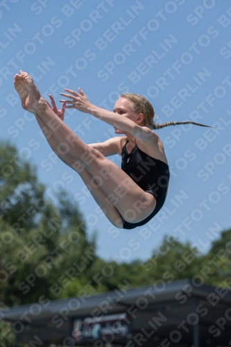 2017 - 8. Sofia Diving Cup 2017 - 8. Sofia Diving Cup 03012_11976.jpg