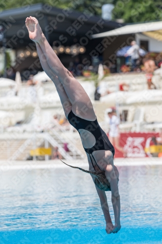 2017 - 8. Sofia Diving Cup 2017 - 8. Sofia Diving Cup 03012_11978.jpg