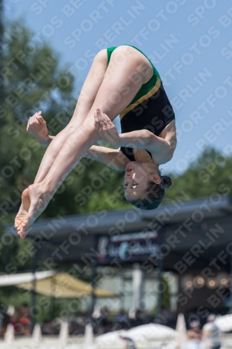 2017 - 8. Sofia Diving Cup 2017 - 8. Sofia Diving Cup 03012_11985.jpg