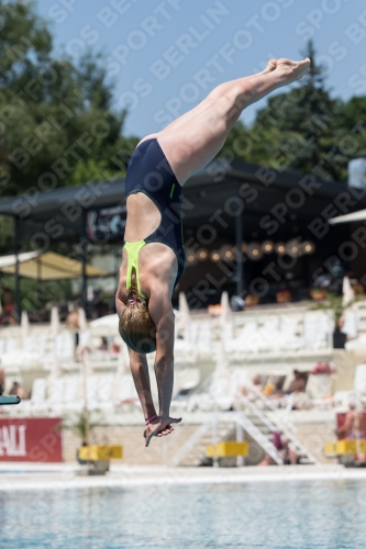 2017 - 8. Sofia Diving Cup 2017 - 8. Sofia Diving Cup 03012_11995.jpg