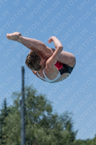 2017 - 8. Sofia Diving Cup 2017 - 8. Sofia Diving Cup 03012_12022.jpg