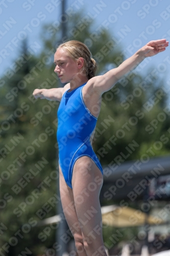 2017 - 8. Sofia Diving Cup 2017 - 8. Sofia Diving Cup 03012_12023.jpg
