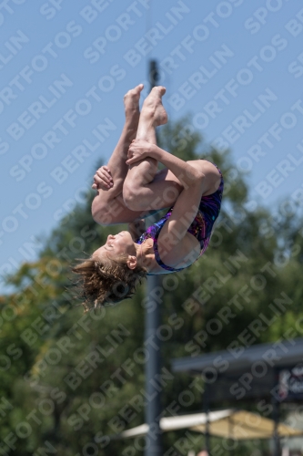 2017 - 8. Sofia Diving Cup 2017 - 8. Sofia Diving Cup 03012_12033.jpg