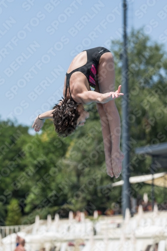 2017 - 8. Sofia Diving Cup 2017 - 8. Sofia Diving Cup 03012_12062.jpg